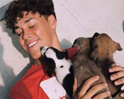 Beck is an animal lover and has three cute puppies in his home.